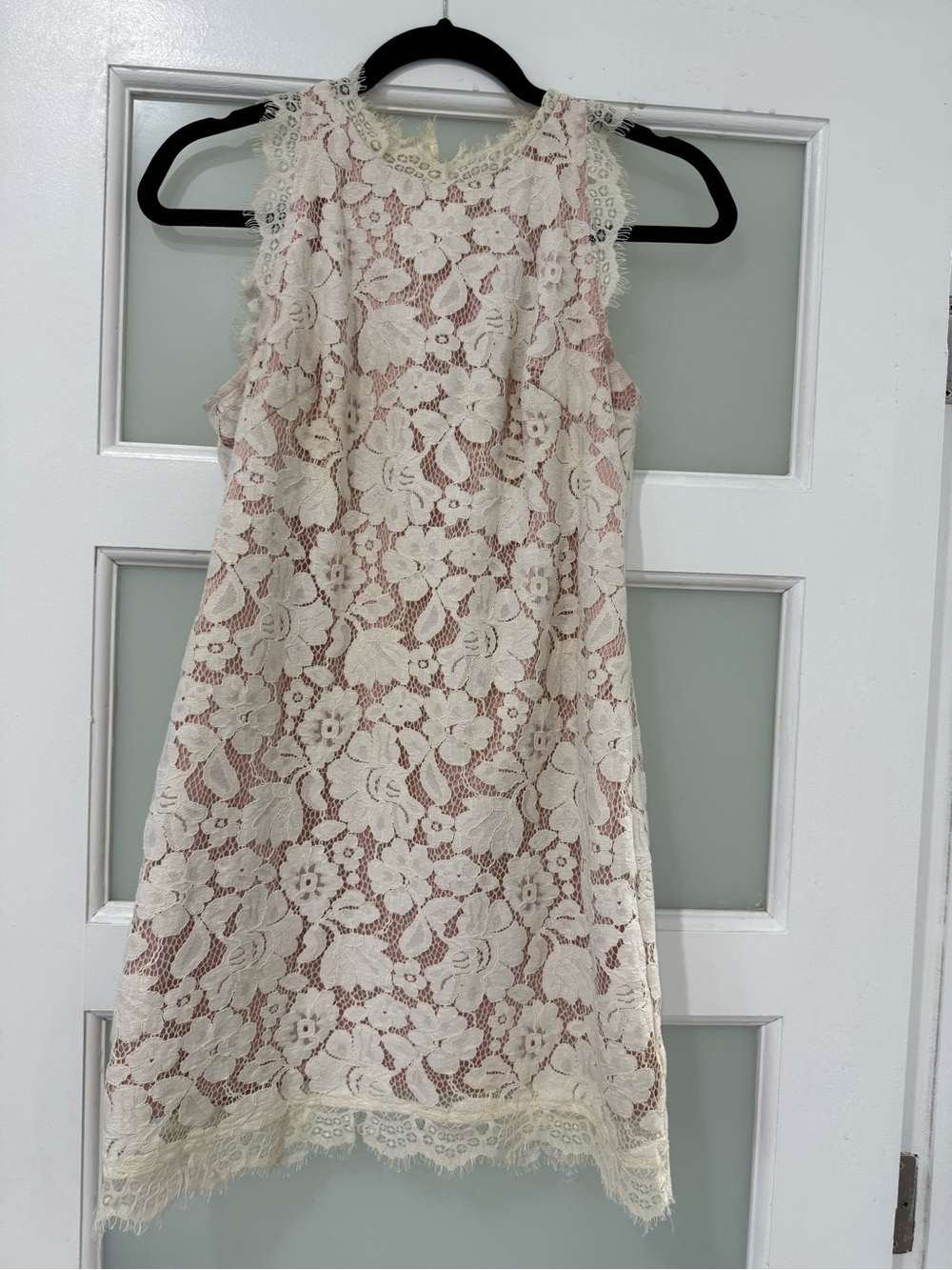 Vince Camuto Cream Lace Overlay Dress with Blush Underlayer